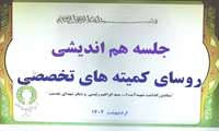 جلسه کمیته های تخصصی ستاد بزرگداشت شهدای خدمت 